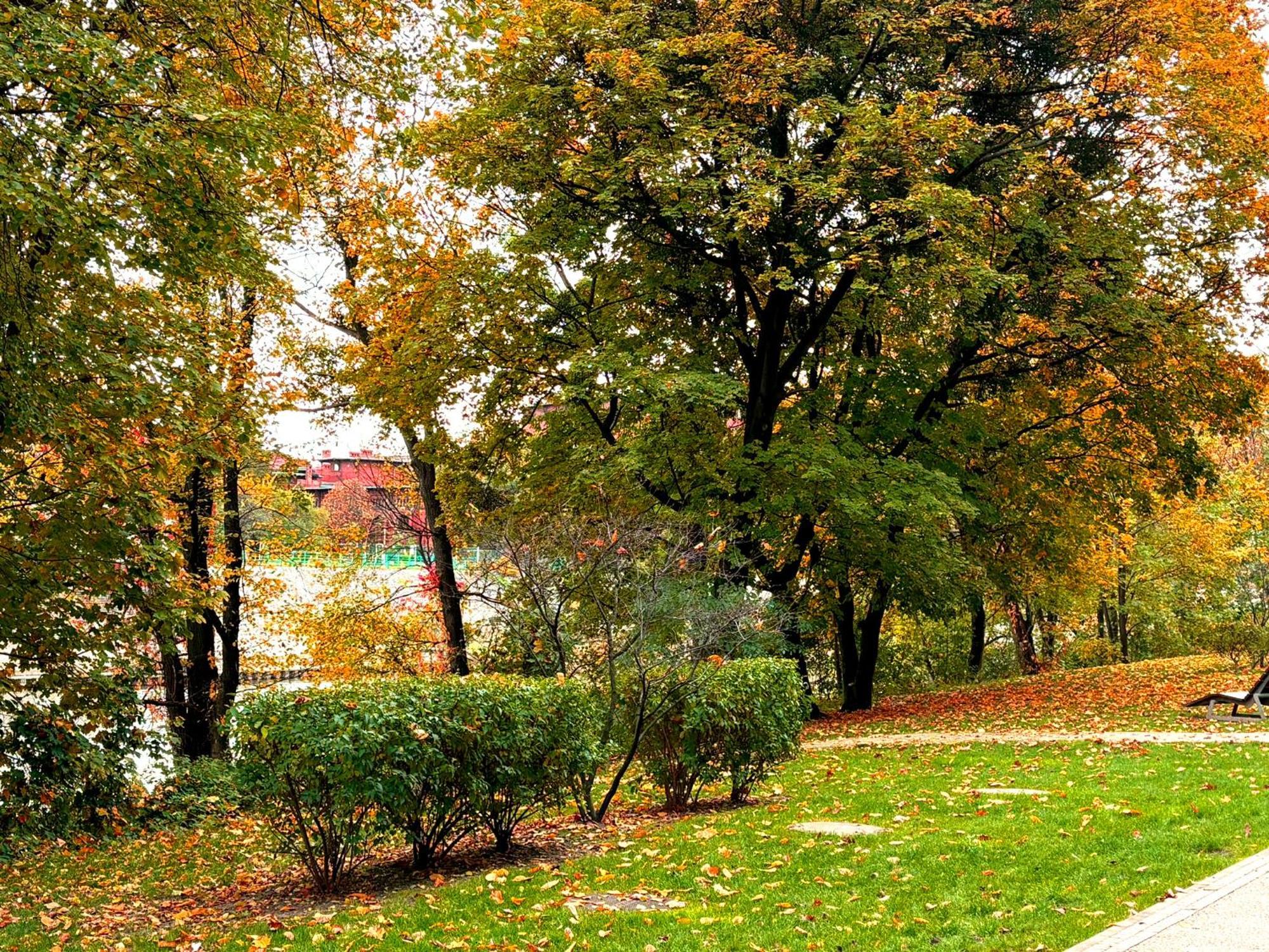 Prime Time Apartament - 24H Check -In - Parking W Cenie Wroclaw Exterior photo